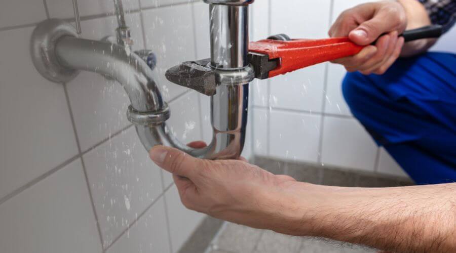 Professional Leak Detection services in Falcon Heights, TX